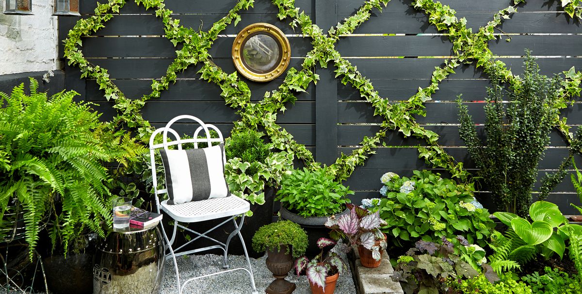 Image showcasing Designing a Vertical Flower Garden on Your Rooftop: Maximizing Space ...