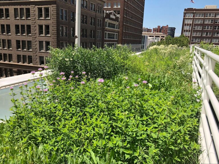 How Do I Create a Community-Based Urban Rooftop Herb Garden