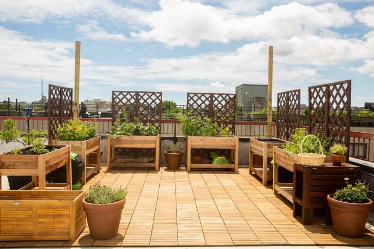 How Do I Protect My Rooftop Vegetable Garden from Strong Winds