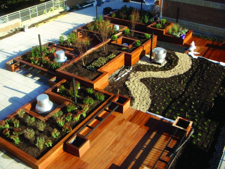 How Do Rooftop Gardens Promote Sustainability