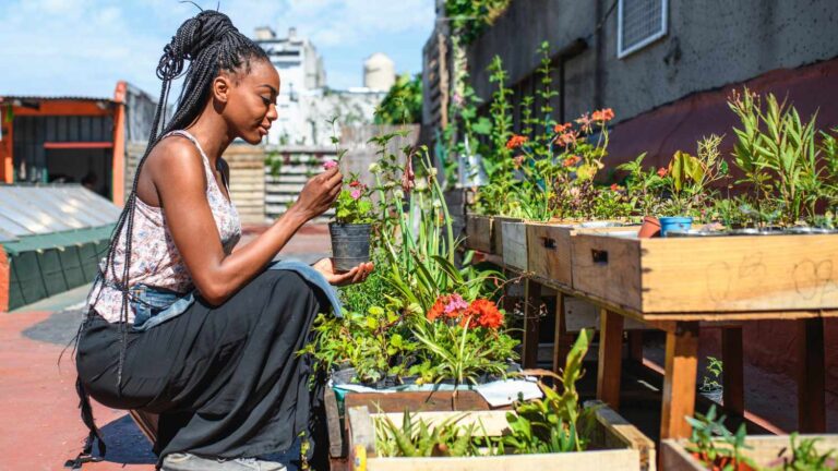How Does an Urban Rooftop Herb Garden Contribute to Sustainability