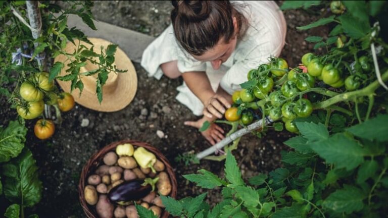 How Much Sunlight Do Vegetables Need on a Rooftop Garden