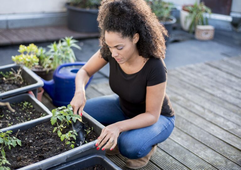 How Often Should I Water And Fertilize My Herb Garden on the Rooftop