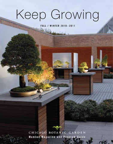 Maintaining Bonsai Health in Rooftop Gardens: Pest Control And Disease Prevention