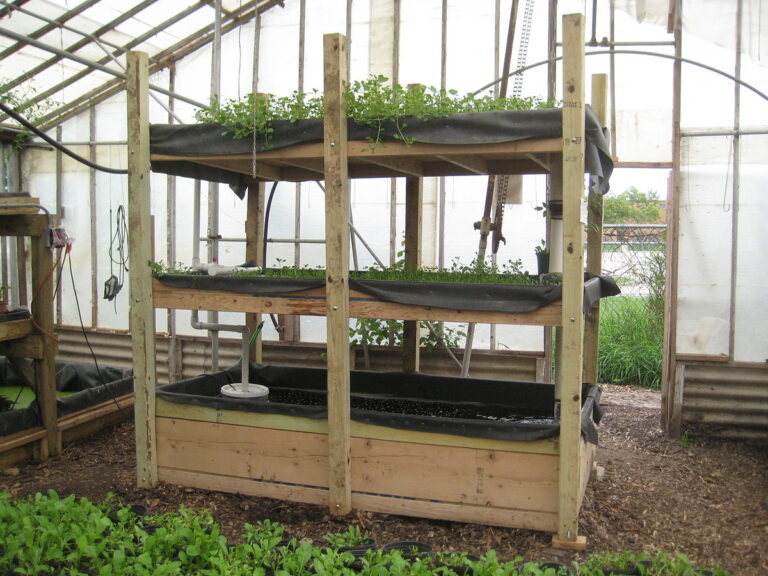 Maintaining Water Quality in Aquaponics Rooftop Systems: Ph, Ammonia, And Nitrate Control