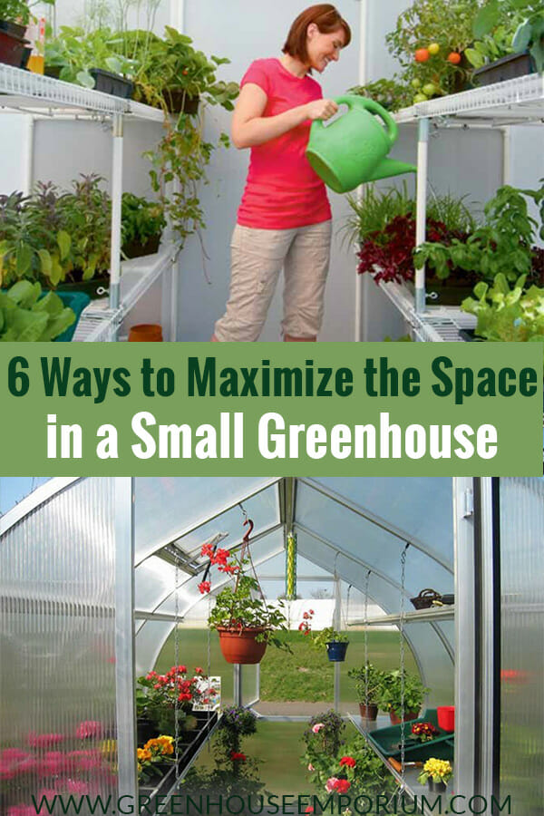 Maximizing Space in Rooftop Greenhouses: Top Techniques for Vertical Growing