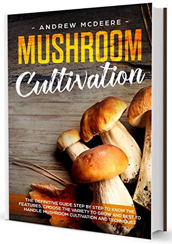 Step-By-Step Mushroom Cultivation Techniques for Beginners