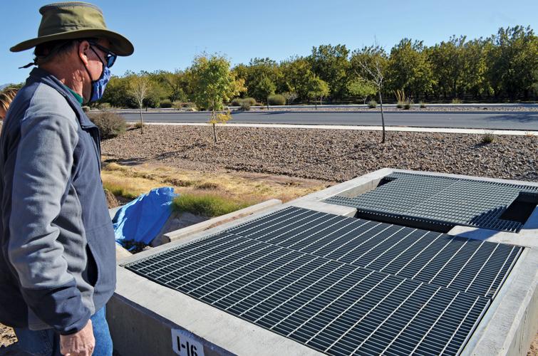 What are the Benefits of Having an Orchard on the Rooftop