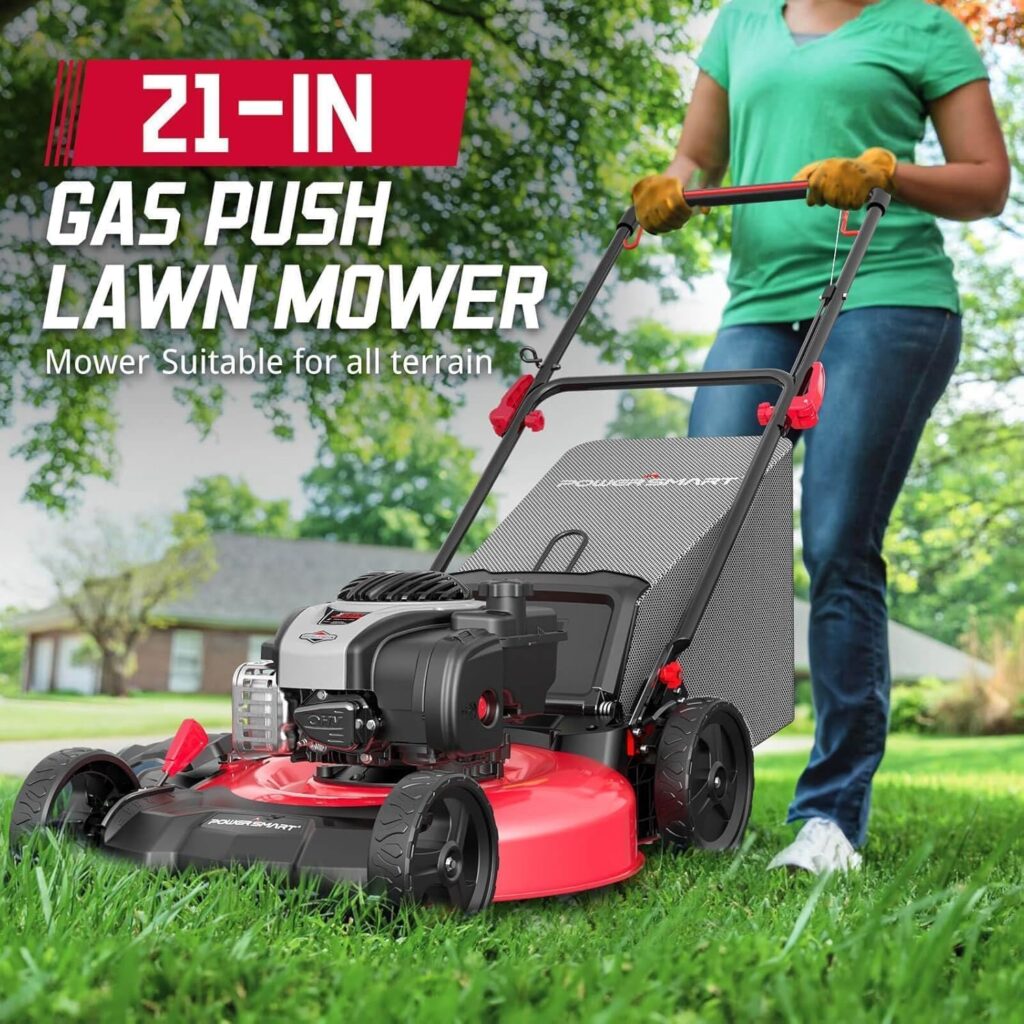 Gas Lawn Mower 1