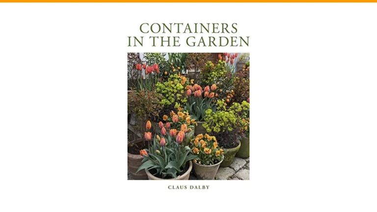 balcony container garden layout