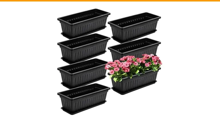 best annual flowers for containers