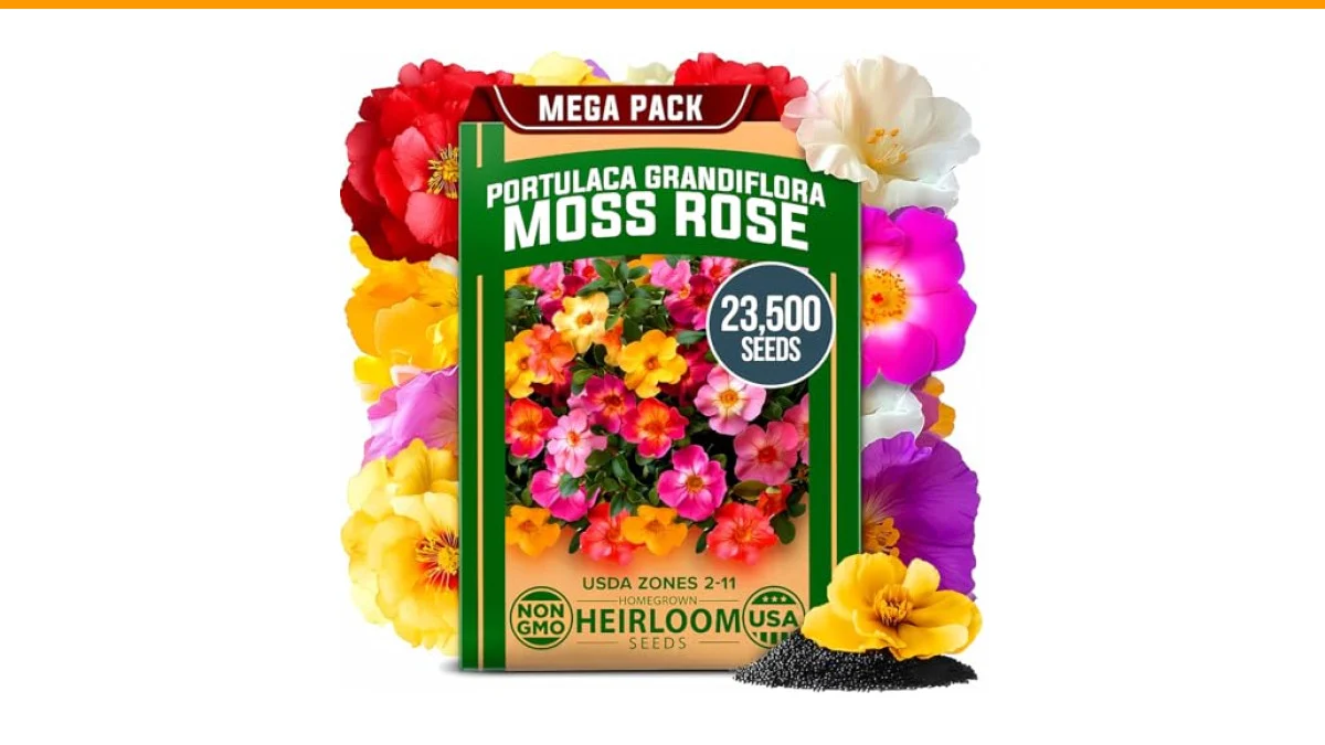 best annual flowers for full sun