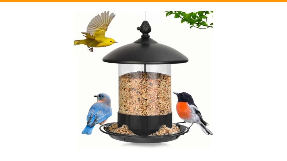 best bird feeders for black headed grosbeaks