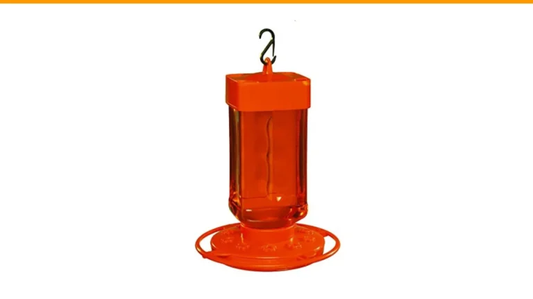 best bird feeders for bullock's orioles