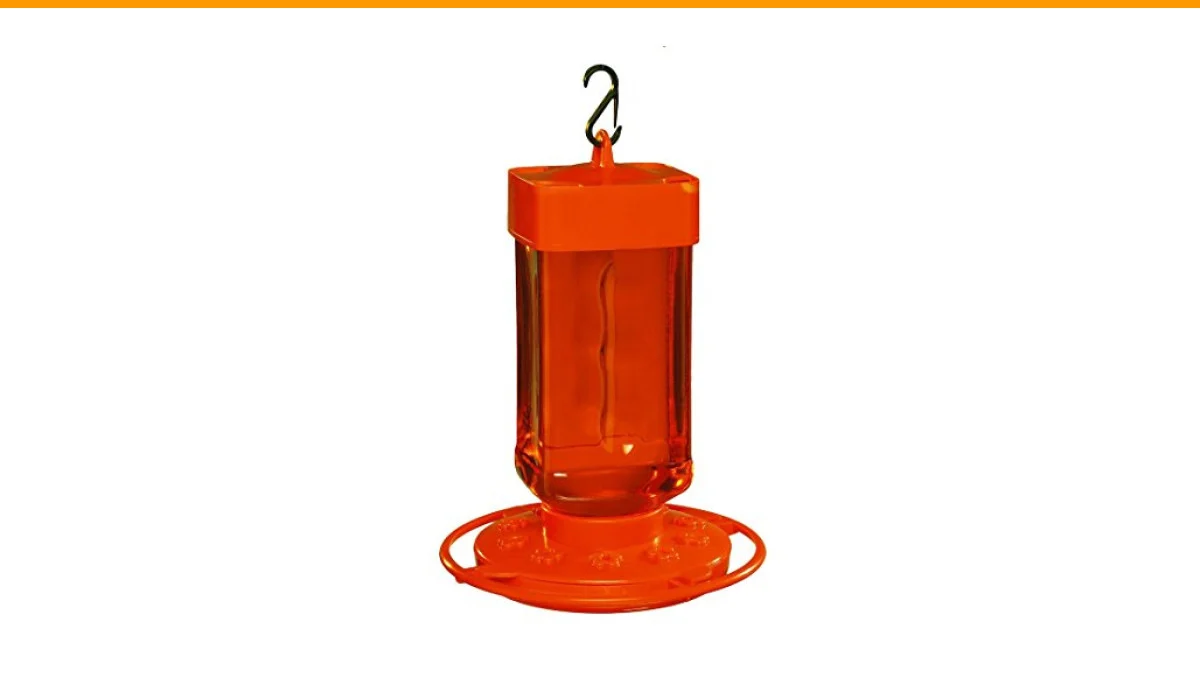 best bird feeders for bullock's orioles