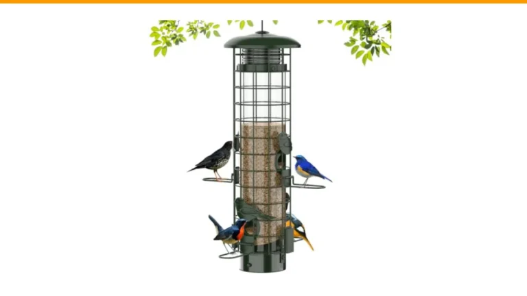 best bird feeders for clarks nutcrackers