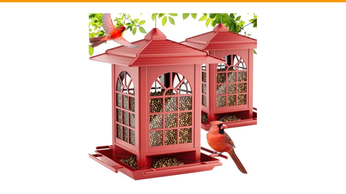 Best Bird Feeders for Redpolls: Top Picks for Winter Flocks 6 best bird feeders for redpolls