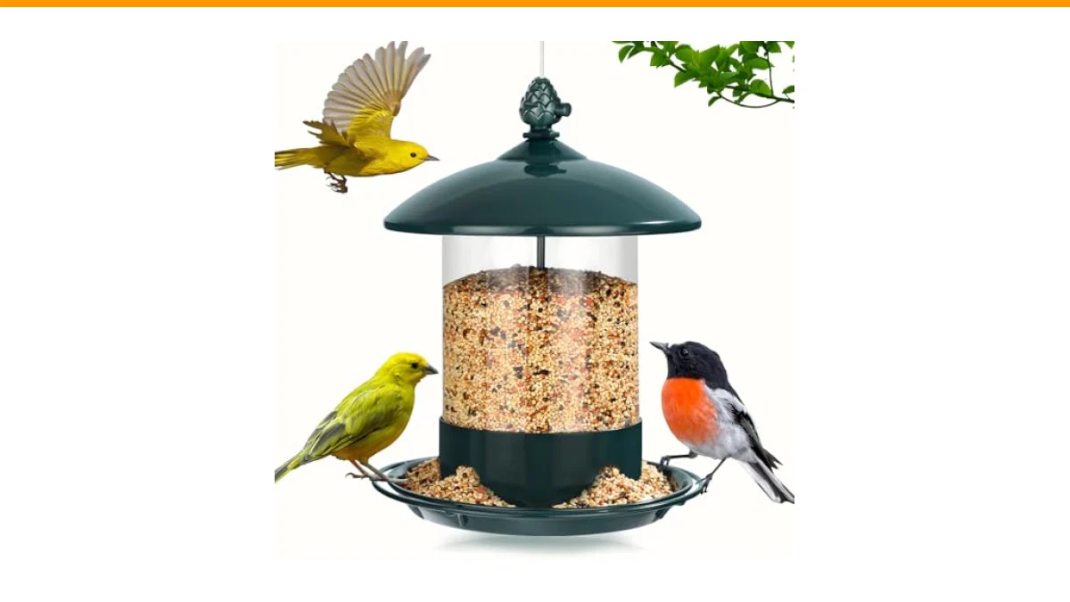 best bird feeders for tricolored blackbirds