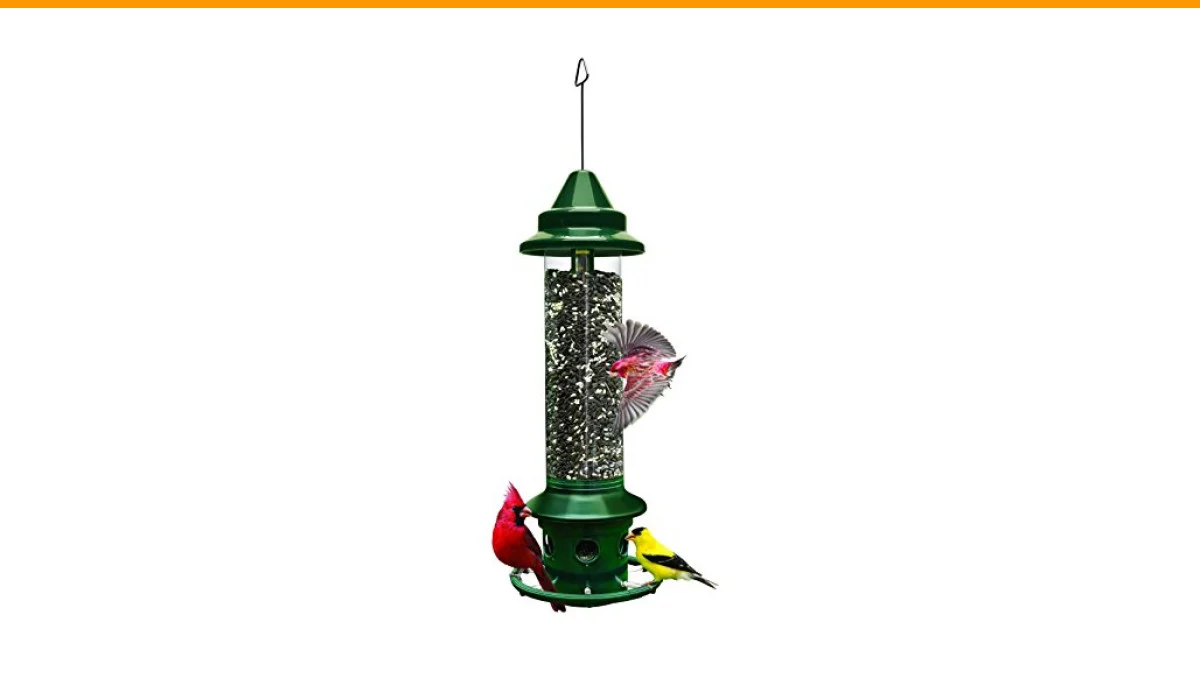 Best Bird Feeders for Warblers: A Behavioral Guide to Attracting Shy Species 6 best bird feeders for warblers