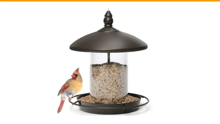 best bird feeders for waxwings
