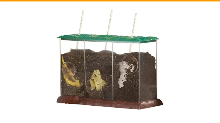best compost bin for kids education