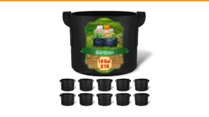 best containers for vegetable gardening
