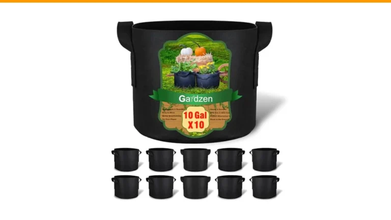best containers for vegetable gardening