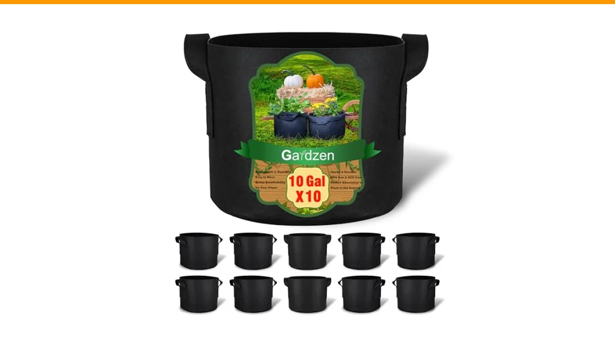 best containers for vegetable gardening