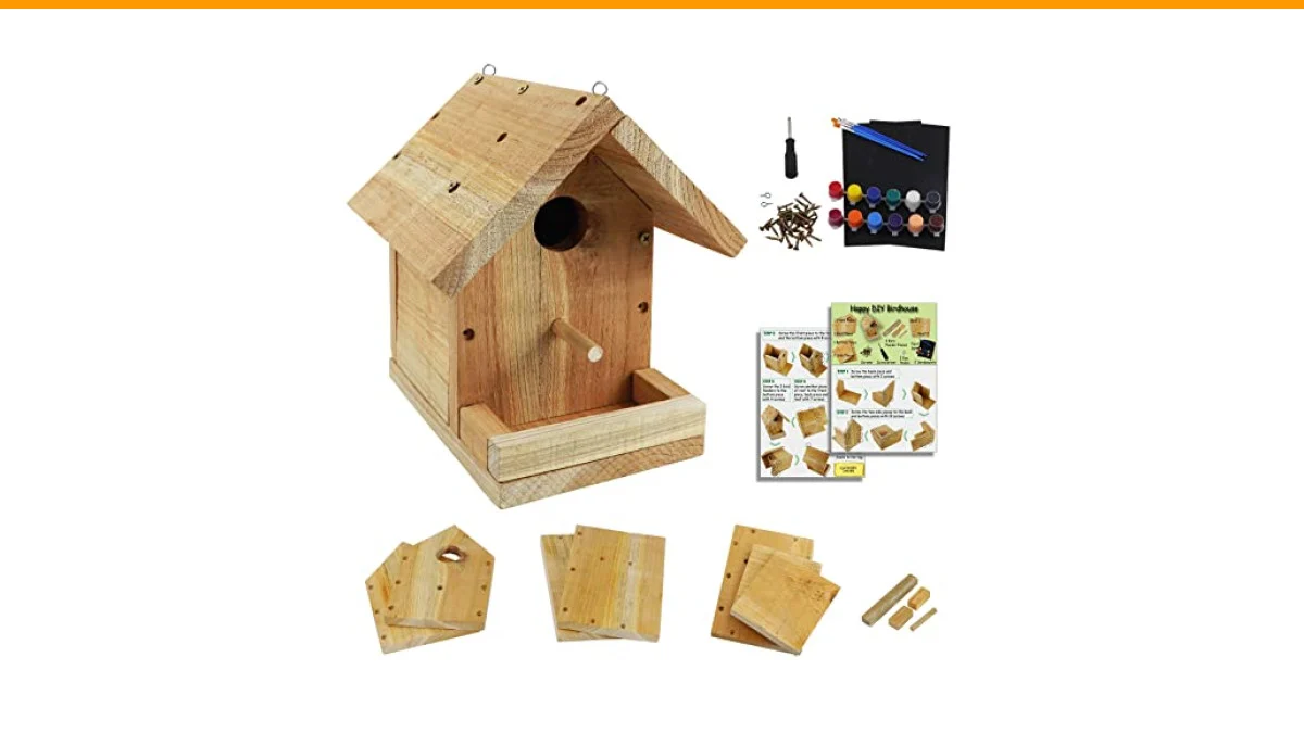 Best DIY Birdhouse Kits: 5 Build-and-Paint Picks That Actually Attract Birds 6 best diy birdhouse kits