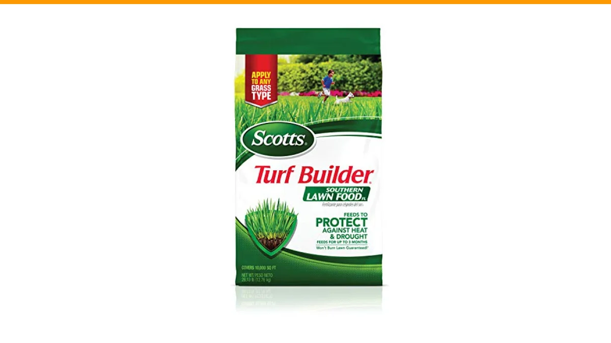 best fertilizer for florida lawns