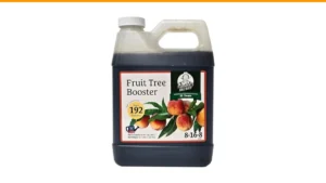 best fruit trees for rooftop orchards