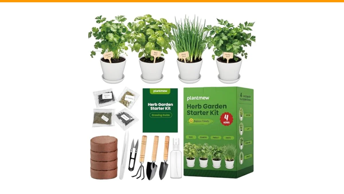 best herbs for rooftop garden