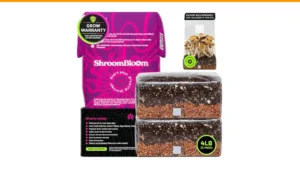 best indoor mushroom kits