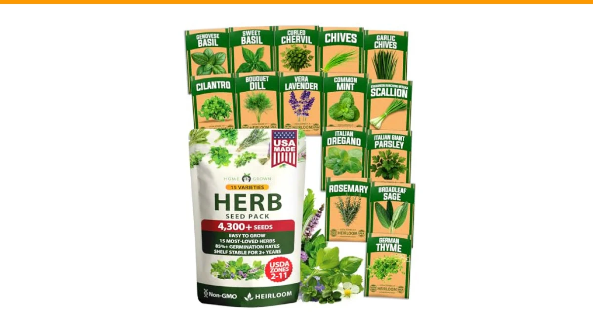 best indoor plant seeds