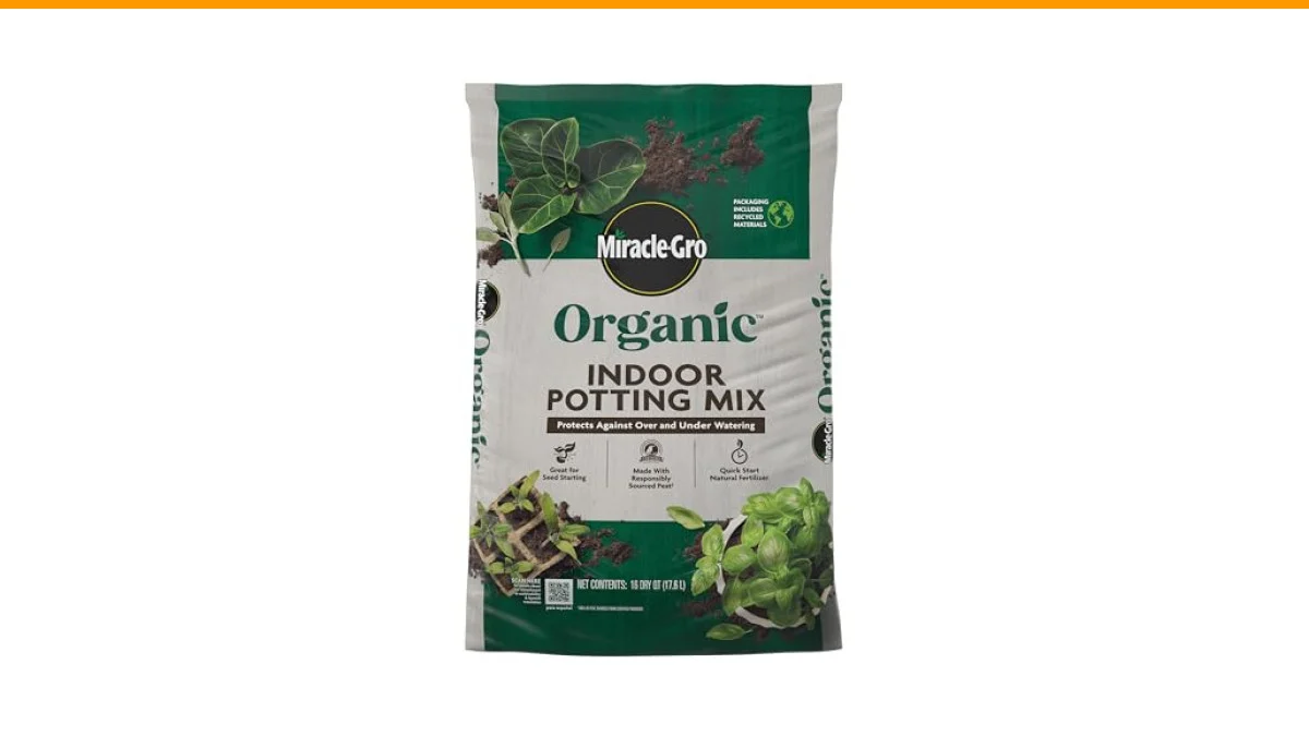 best indoor plant soil for vegetables