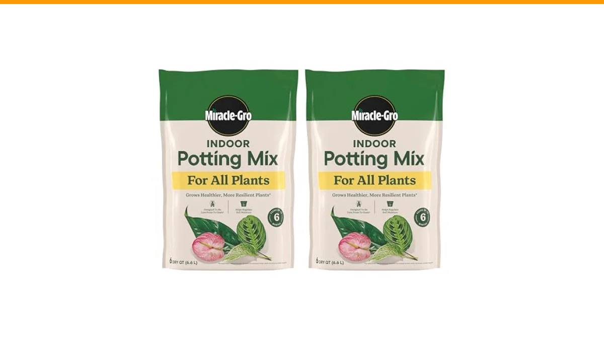 best indoor plant soil