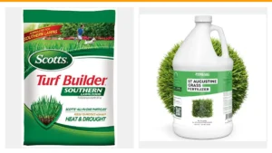best lawn fertilizer for st augustine grass