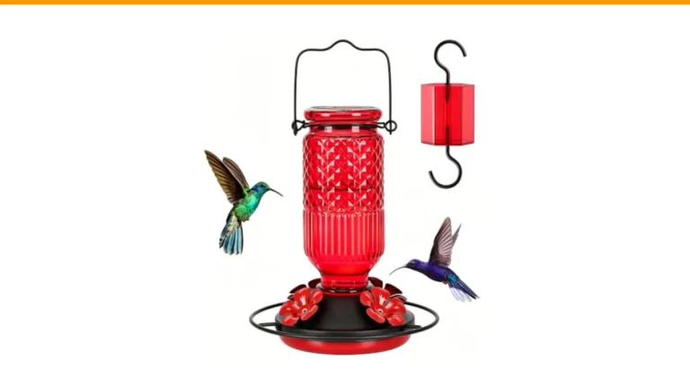 best leak proof hummingbird feeder