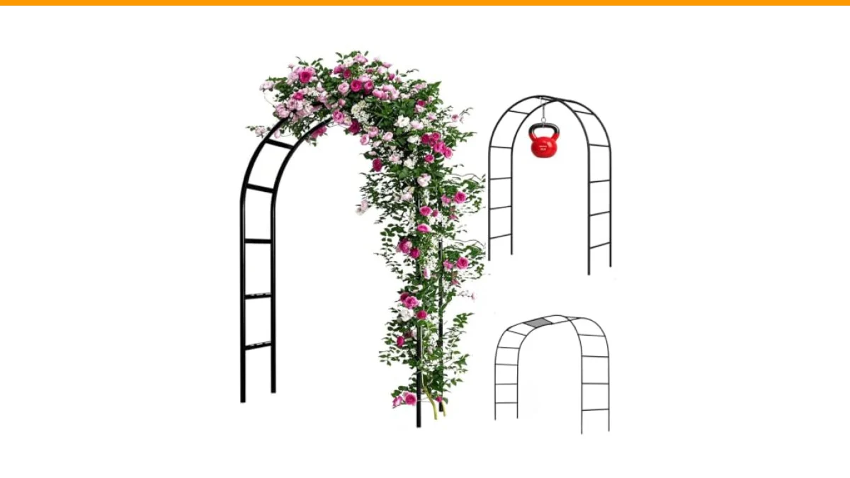 The Best Plants for an Arch Trellis: A Complete Guide to Choosing and Growing Vertical Vines 6 best plants for arch trellis