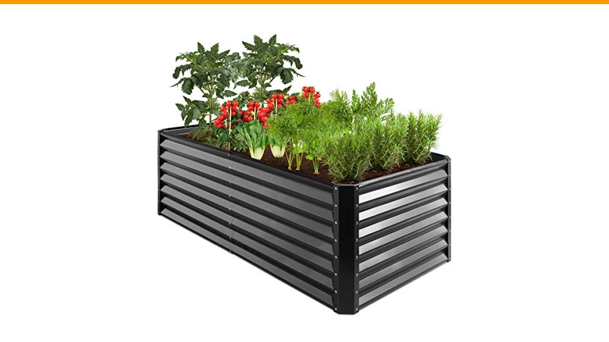 best plants for garden beds