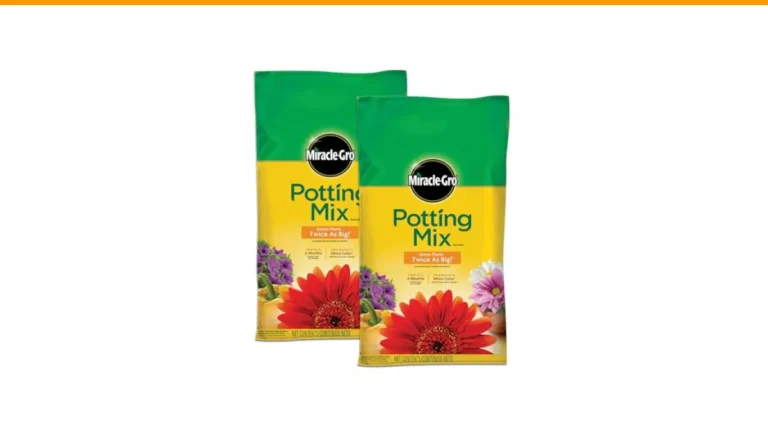 best potting soil for containers