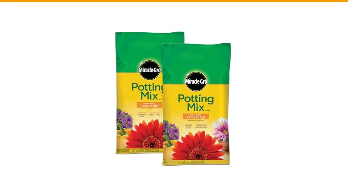 Choosing the Best Potting Soil for Containers 2 best potting soil for containers