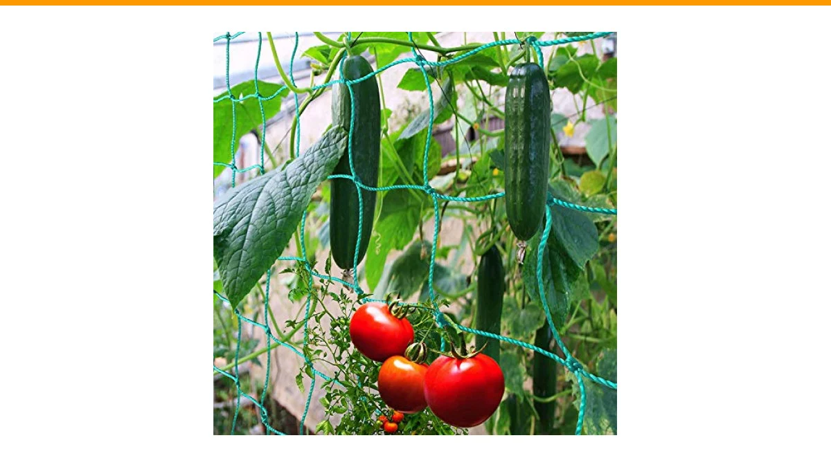 best rope trellises for cucumbers