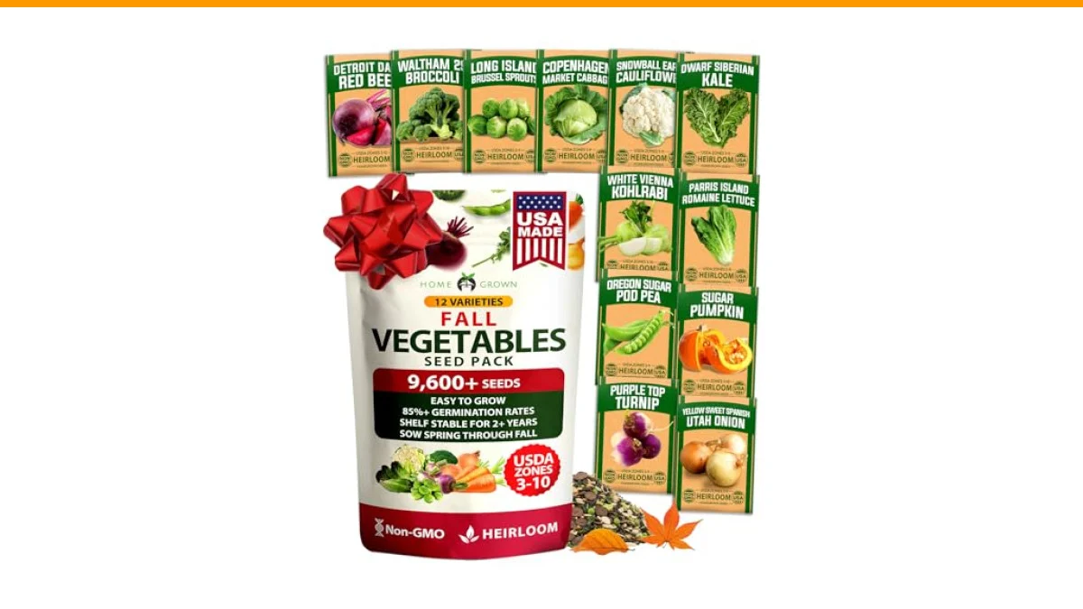 Best Vegetables to Grow in Winter: A Comprehensive Guide 2 best vegetables to grow in winter