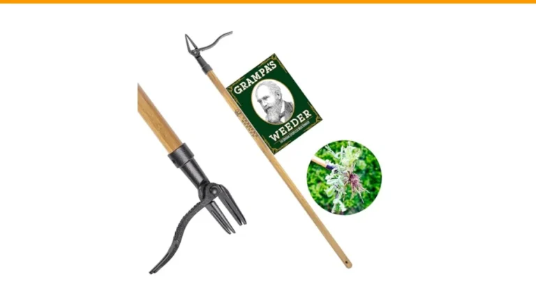 best weed puller tools
