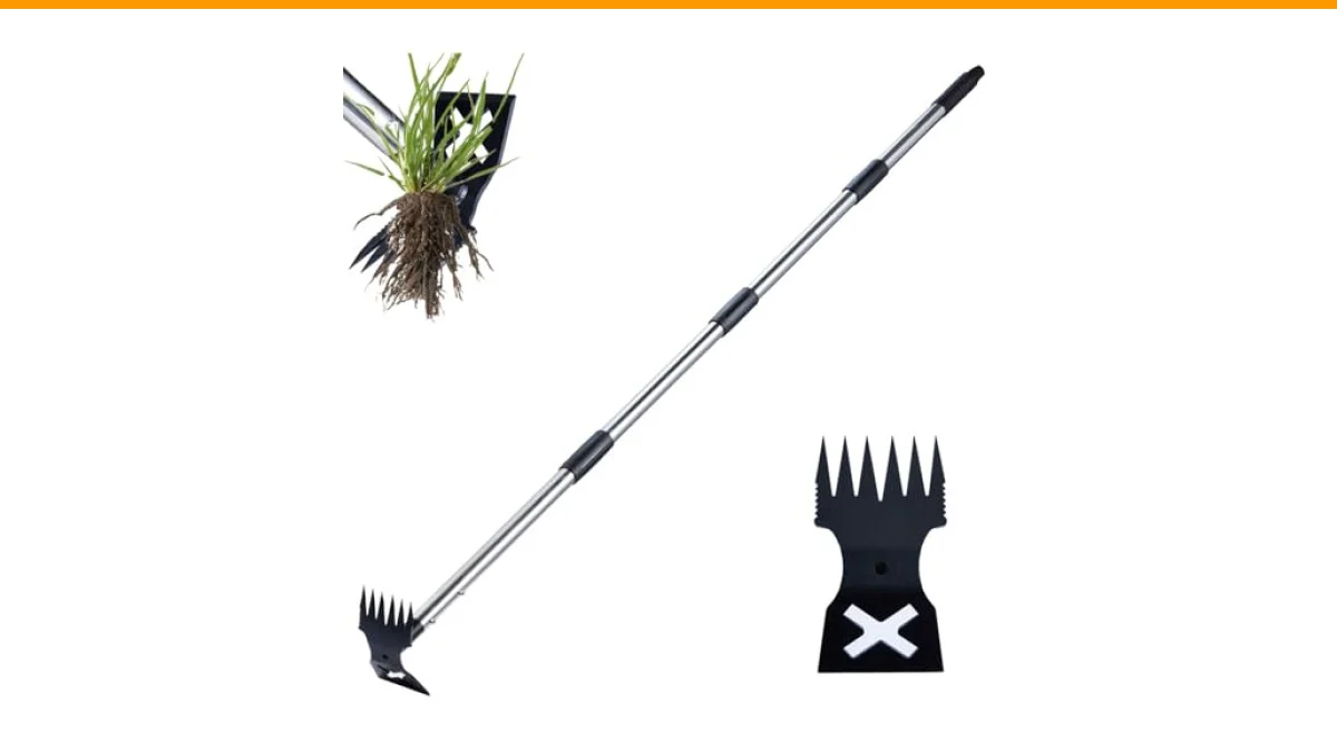 best weeder for soil health