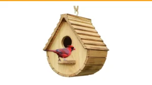 best wood bird houses