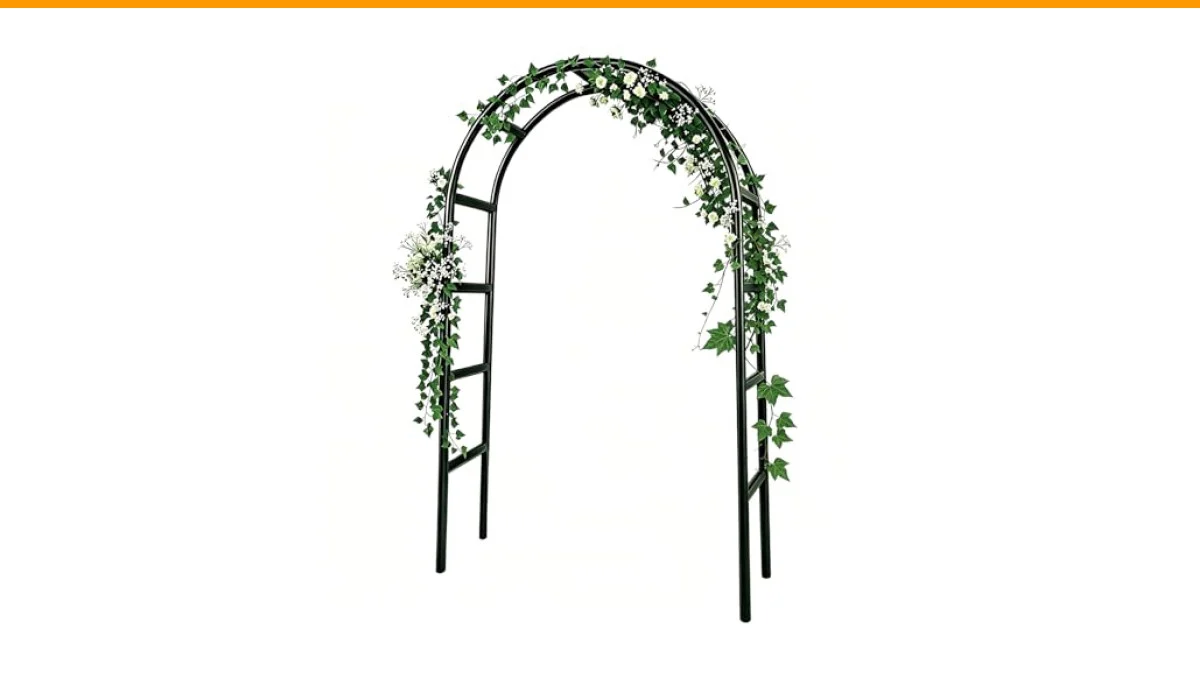 black garden arch trellis