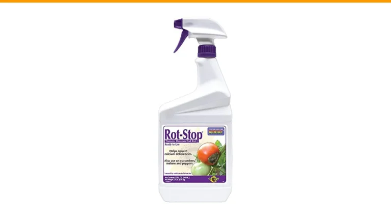 blossom end rot causes and prevention