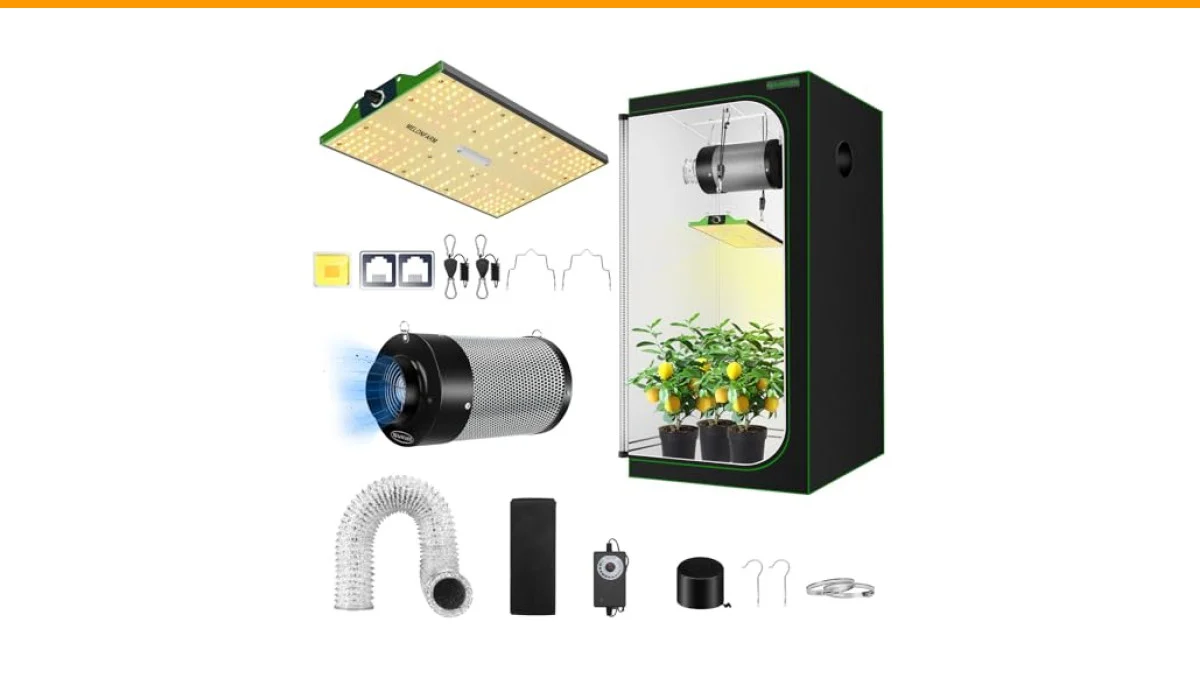 Best Cheap Grow Tents with Lights: A Comprehensive Guide 6 cheap grow tent with light